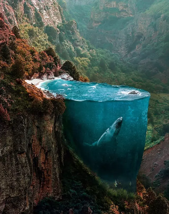 风景