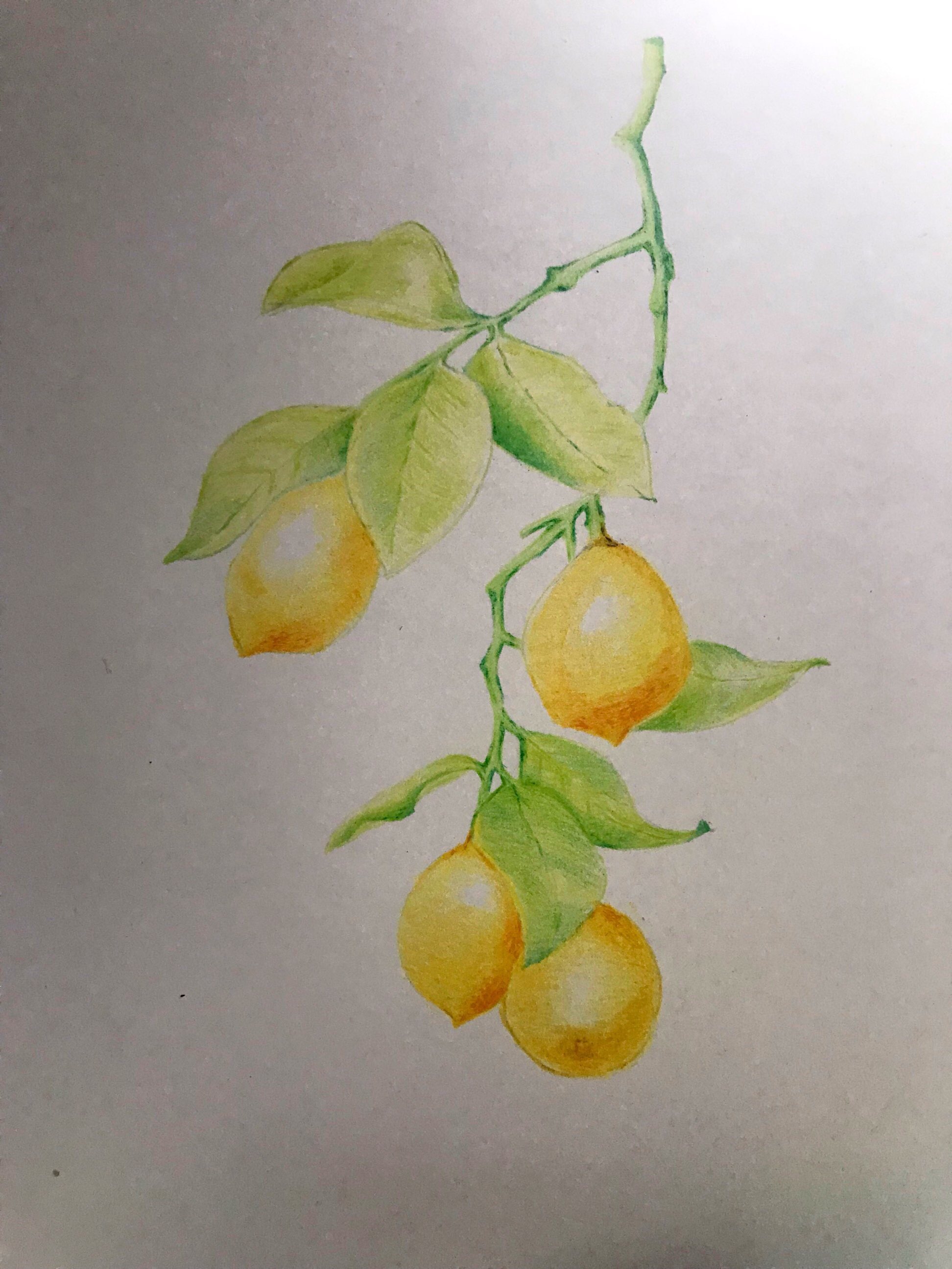 绘画